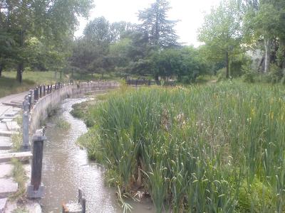 Прикрепленное изображение: наб123.jpg